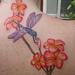 Tattoos - Dragonfly and Flowers - 62431